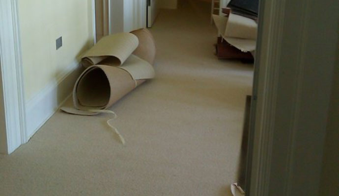 Comfortable Carpet Flooring