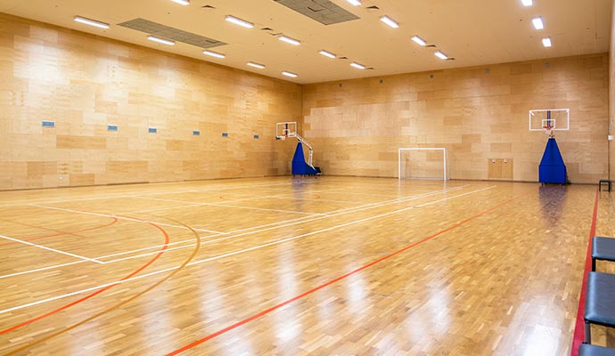 Indoor modern sports flooring