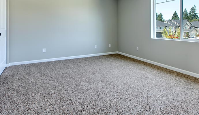 Professional carpet flooring solutions
